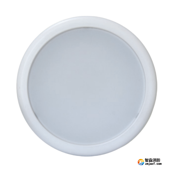 天津海灣HW-ZFJC-E9W-N657集中電源集中控制型消防應急照明燈具