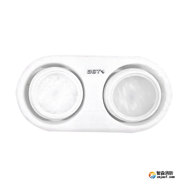 天津海灣HW-ZFJC-E3W-YN663集中電源集中控制型消防應(yīng)急照明燈具（3W雙頭燈）