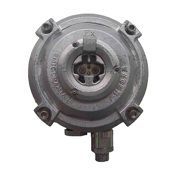 天津海灣D-9107R防爆點(diǎn)型紅外火焰探測器